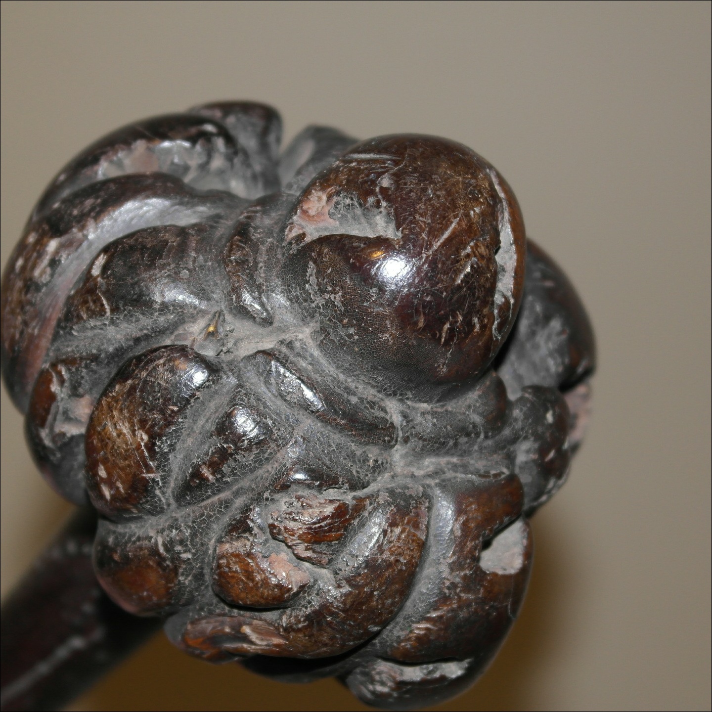 19th century Fijian ula throwing club, 19th century Fijian antique, 19th century Fijian club, 19th century Fijian war club, Fijian weapon, Fijian artifact, Polynesian tribal art antiques and weapons gallery, Oceanic tribal art antiques and weapons gallery, ethnographic tribal art antiques and weapons gallery, 19ème siècle Fidji massue de guerre, looking to buy Fijian tribal antiques art and weapons, buying Fijian antiques, buying Fijian clubs artifacts and weapons, buying Fijian antiques