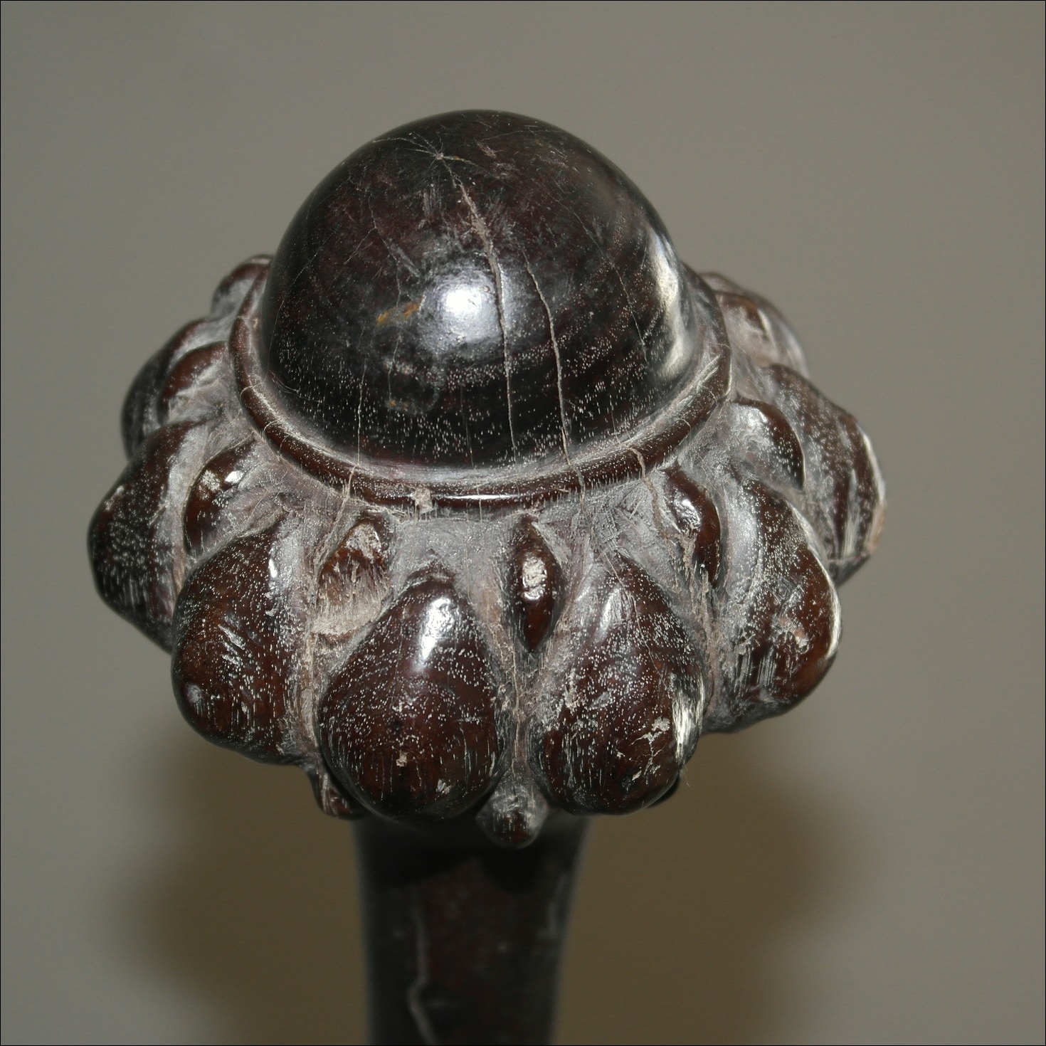 19th century Fijian ula throwing club, 19th century Fijian antique, 19th century Fijian club, 19th century Fijian war club, Fijian weapon, Fijian artifact, Polynesian tribal art antiques and weapons gallery, Oceanic tribal art antiques and weapons gallery, ethnographic tribal art antiques and weapons gallery, 19ème siècle Fidji massue de guerre, looking to buy Fijian tribal antiques art and weapons, buying Fijian antiques, buying Fijian clubs artifacts and weapons, buying Fijian antiques