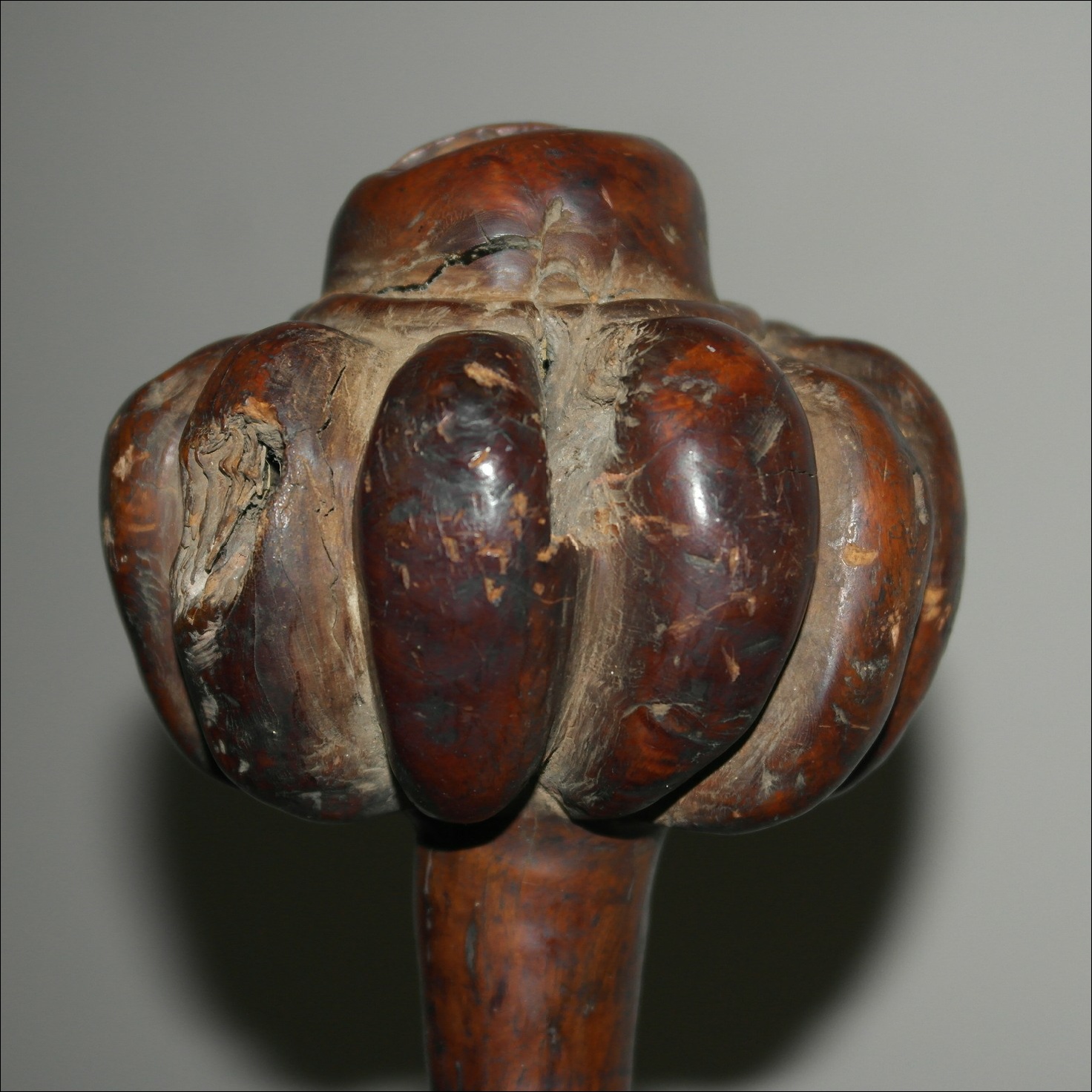 19th century Fijian ula throwing club, 19th century Fijian antique, 19th century Fijian club, 19th century Fijian war club, Fijian weapon, Fijian artifact, Polynesian tribal art antiques and weapons gallery, Oceanic tribal art antiques and weapons gallery, ethnographic tribal art antiques and weapons gallery, 19ème siècle Fidji massue de guerre, looking to buy Fijian tribal antiques art and weapons, buying Fijian antiques, buying Fijian clubs artifacts and weapons, buying Fijian antiques