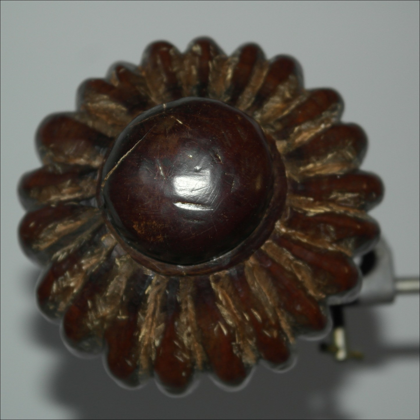 19th century Fijian ula throwing club, 19th century Fijian antique, 19th century Fijian club, 19th century Fijian war club, Fijian weapon, Fijian artifact, Polynesian tribal art antiques and weapons gallery, Oceanic tribal art antiques and weapons gallery, ethnographic tribal art antiques and weapons gallery, 19ème siècle Fidji massue de guerre, looking to buy Fijian tribal antiques art and weapons, buying Fijian antiques, buying Fijian clubs artifacts and weapons, buying Fijian antiques