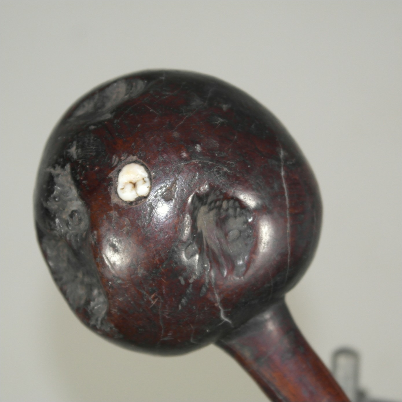 19th century Fijian ula throwing club, 19th century Fijian antique, 19th century Fijian club, 19th century Fijian war club, Fijian weapon, Fijian artifact, Polynesian tribal art antiques and weapons gallery, Oceanic tribal art antiques and weapons gallery, ethnographic tribal art antiques and weapons gallery, 19ème siècle Fidji massue de guerre, looking to buy Fijian tribal antiques art and weapons, buying Fijian antiques, buying Fijian clubs artifacts and weapons, buying Fijian antiques