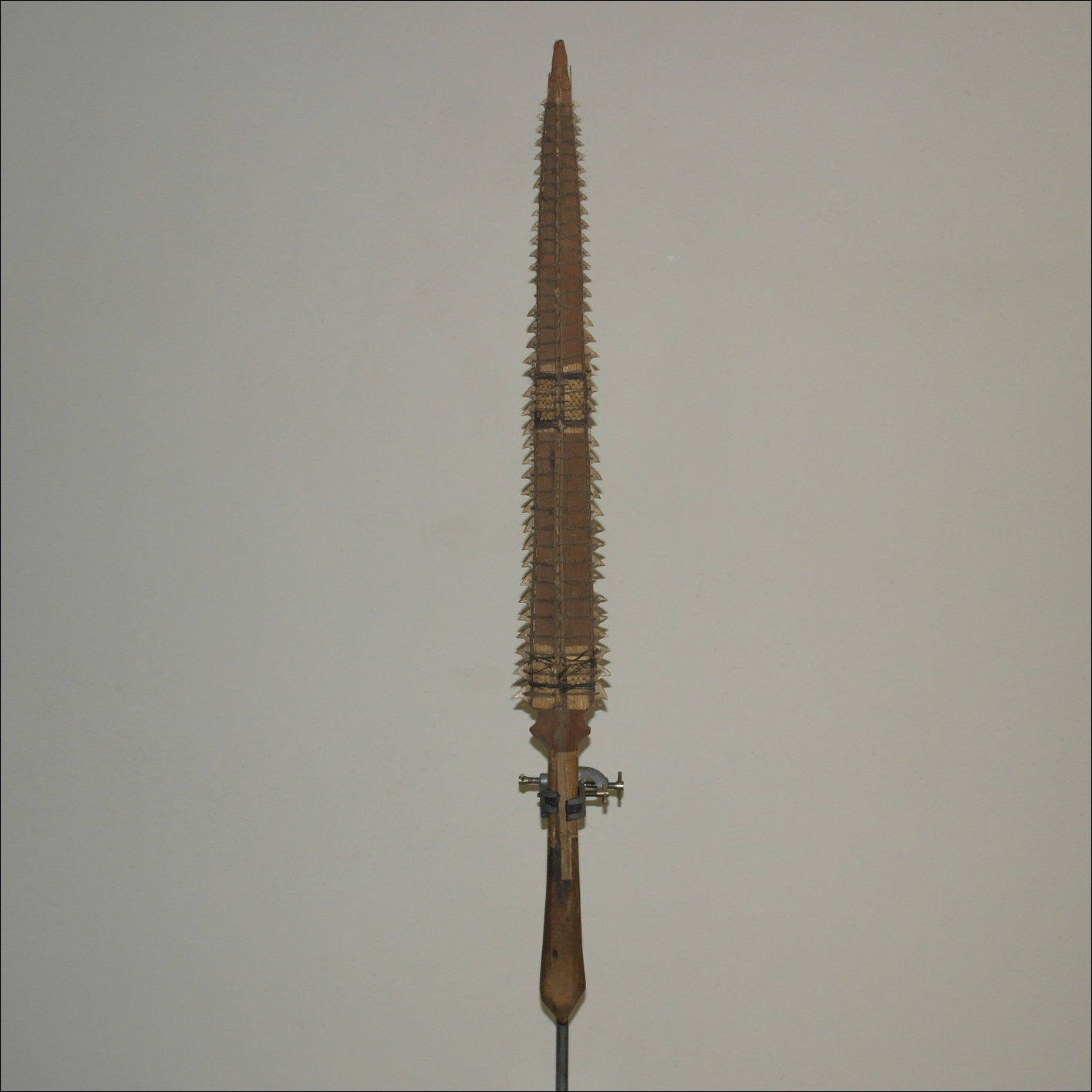 Tetoanea or Tewinnarei, 19th century Gilbert Islands Kiribati shark tooth sword, Tribal Art Gallery, 19th century Polynesian art and weapons, Ethnographic antiques, artifacts and weapons, 19th century 19th century Gilbert Islands Kiribati shark tooth sword  club, 19th century Melanesian and Micronesian  art antiques and weapons, Ethnographic antiques  artifacts and weapons, 19th century 19th century Gilbert Islands Kiribati shark tooth sword war club, melanesian and micronesian antique, melanesian and micronesian artifact, 19th century 19th century Gilbert Islands Kiribati shark tooth sword Island artifact, Polynesian tribal art antiques and weapons gallery, Oceanic tribal art antiques and weapons gallery, ethnographic tribal art antiques and weapons gallery, 19ème siècle 19th century Gilbert Islands Kiribati shark tooth sword massue de guerre, looking to buy 19th century Gilbert Islands Kiribati shark tooth sword tribal antiques art and weapons, buying 19th century Gilbert Islands Kiribati shark tooth sword antiques, buying melanesian and micronesian clubs artifacts and weapons, buying 19th century Gilbert Islands Kiribati shark tooth sword antiques