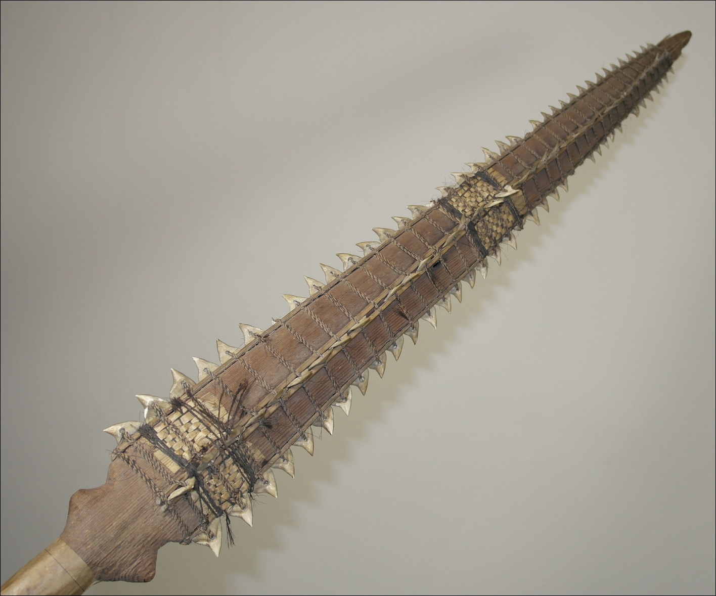 Tetoanea or Tewinnarei, 19th century Gilbert Islands Kiribati shark tooth sword, Tribal Art Gallery, 19th century Polynesian art and weapons, Ethnographic antiques, artifacts and weapons, 19th century 19th century Gilbert Islands Kiribati shark tooth sword  club, 19th century Melanesian and Micronesian  art antiques and weapons, Ethnographic antiques  artifacts and weapons, 19th century 19th century Gilbert Islands Kiribati shark tooth sword war club, melanesian and micronesian antique, melanesian and micronesian artifact, 19th century 19th century Gilbert Islands Kiribati shark tooth sword Island artifact, Polynesian tribal art antiques and weapons gallery, Oceanic tribal art antiques and weapons gallery, ethnographic tribal art antiques and weapons gallery, 19ème siècle 19th century Gilbert Islands Kiribati shark tooth sword massue de guerre, looking to buy 19th century Gilbert Islands Kiribati shark tooth sword tribal antiques art and weapons, buying 19th century Gilbert Islands Kiribati shark tooth sword antiques, buying melanesian and micronesian clubs artifacts and weapons, buying 19th century Gilbert Islands Kiribati shark tooth sword antiques