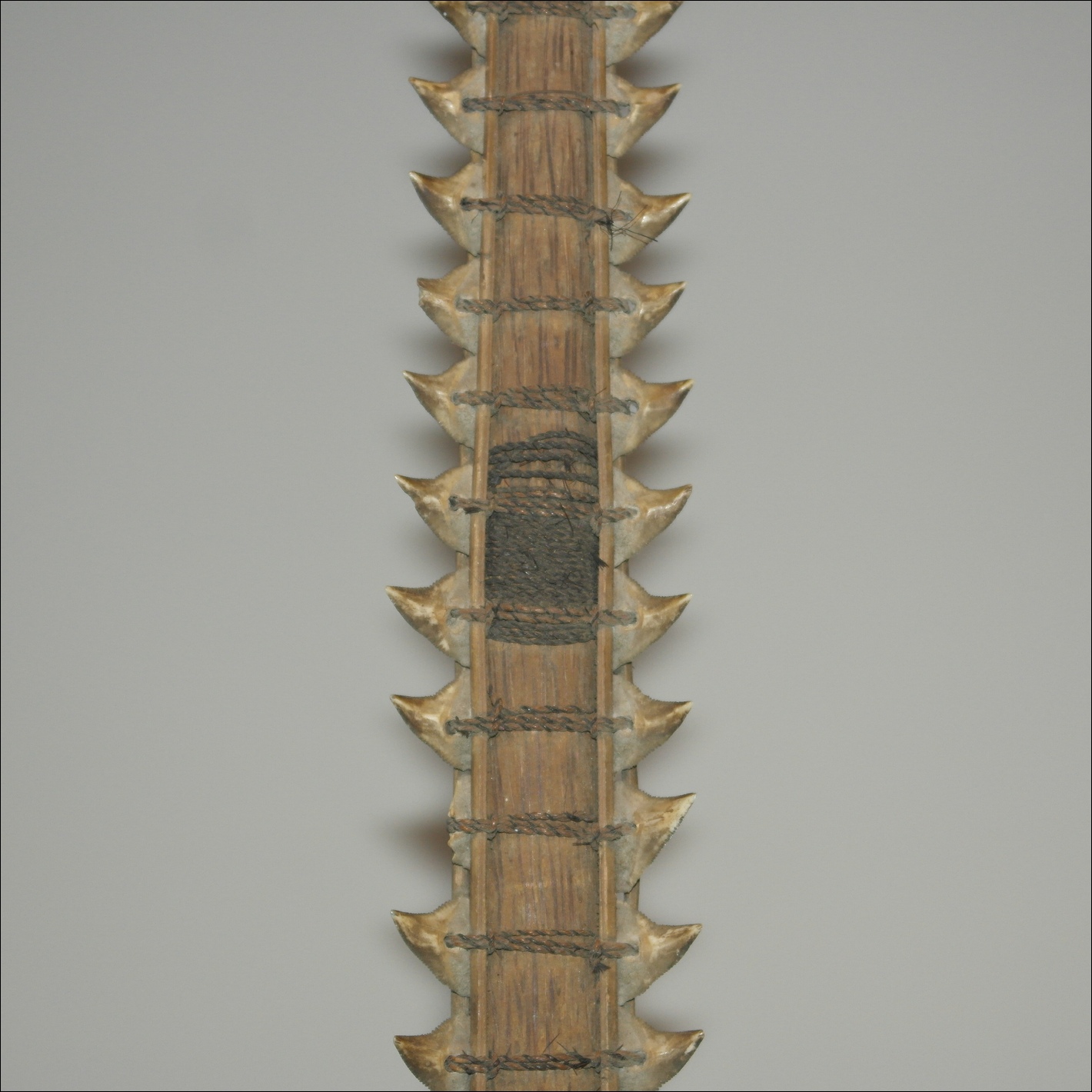 19th century Gilbert Islands Kiribati shark tooth sword, Tetoanea or Tewinnarei, Tribal Art Gallery, 19th century Polynesian art and weapons, Ethnographic antiques, artifacts and weapons, 19th century 19th century Gilbert Islands Kiribati shark tooth sword  club, 19th century Melanesian and Micronesian  art antiques and weapons, Ethnographic antiques  artifacts and weapons, 19th century 19th century Gilbert Islands Kiribati shark tooth sword war club, melanesian and micronesian antique, melanesian and micronesian artifact, 19th century 19th century Gilbert Islands Kiribati shark tooth sword Island artifact, Polynesian tribal art antiques and weapons gallery, Oceanic tribal art antiques and weapons gallery, ethnographic tribal art antiques and weapons gallery, 19ème siècle 19th century Gilbert Islands Kiribati shark tooth sword massue de guerre, looking to buy 19th century Gilbert Islands Kiribati shark tooth sword tribal antiques art and weapons, buying 19th century Gilbert Islands Kiribati shark tooth sword antiques, buying melanesian and micronesian clubs artifacts and weapons, buying 19th century Gilbert Islands Kiribati shark tooth sword antiques