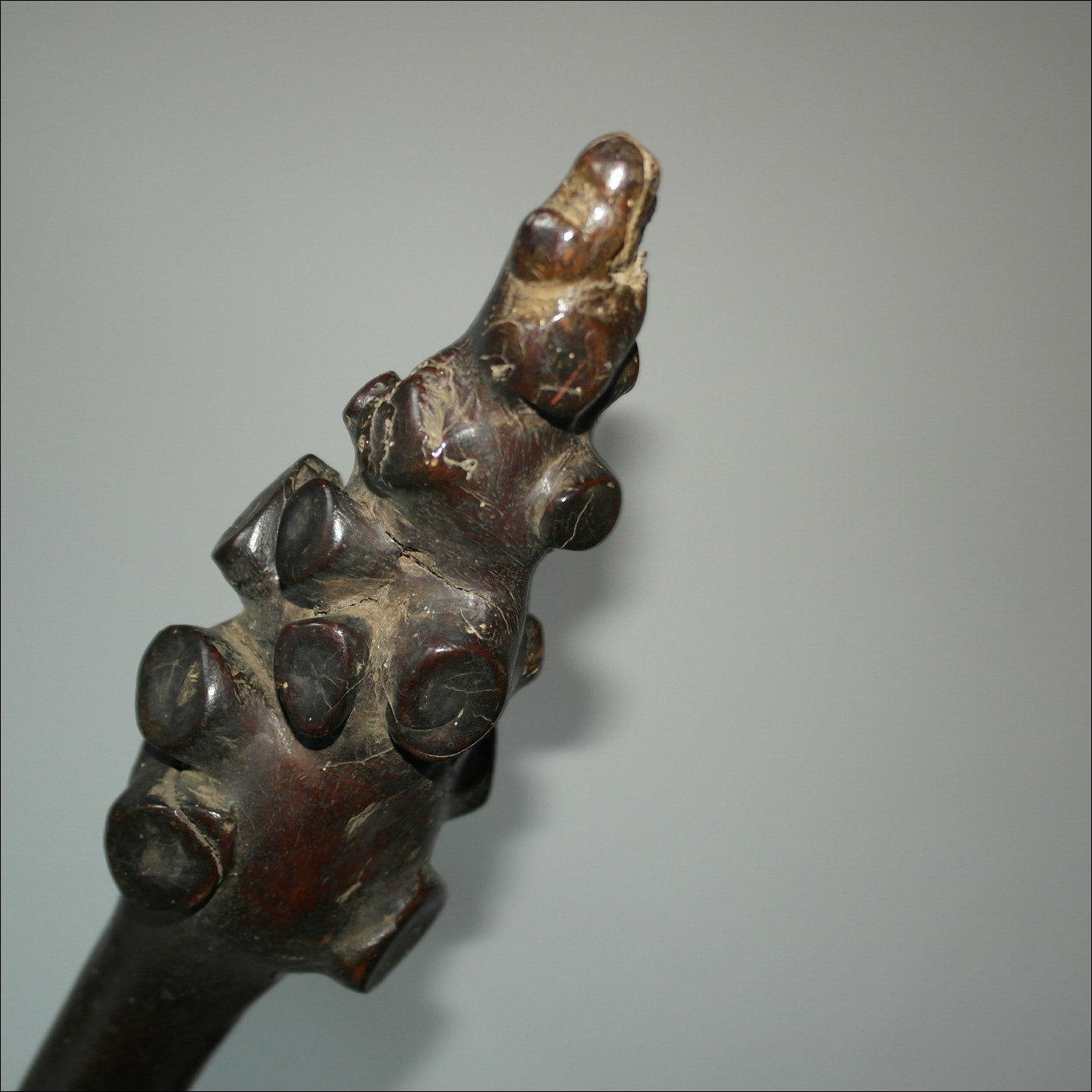 19th century Fijian vunikau club, Vunikau-bulibuli-sevaro, fijian vunikau, 19th century Fijian antique, 19th century Fijian club, 19th century Fijian war club, Fijian weapon, Fijian artifact, Polynesian tribal art antiques and weapons gallery, Oceanic tribal art antiques and weapons gallery, ethnographic tribal art antiques and weapons gallery, 19ème siècle Fidji massue de guerre, looking to buy Fijian tribal antiques art and weapons, buying Fijian antiques, buying Fijian clubs artifacts and weapons, buying Fijian antiques