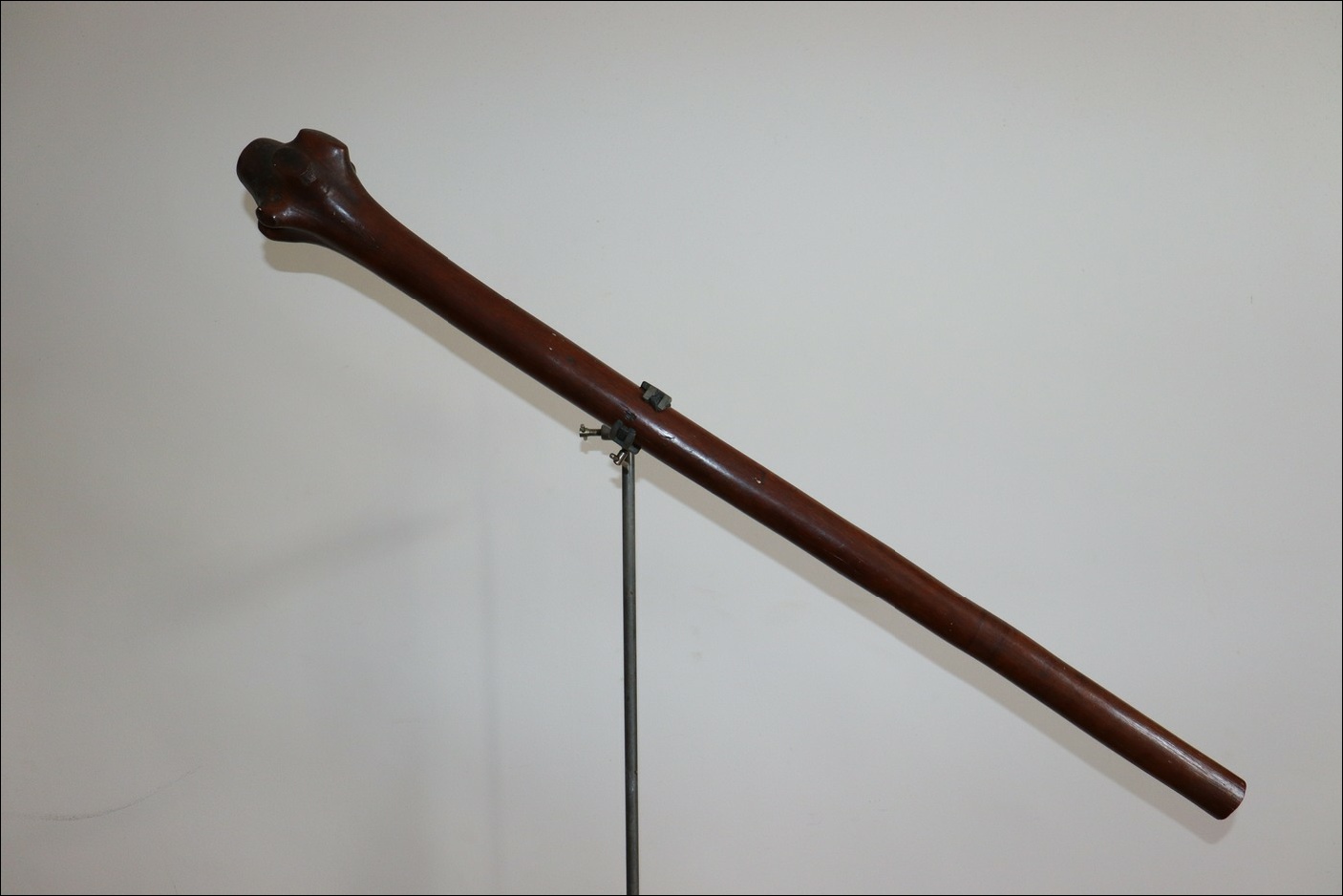 19th century Fijian vunikau club, Vunikau-bulibuli-sevaro, fijian vunikau, 19th century Fijian antique, 19th century Fijian club, 19th century Fijian war club, Fijian weapon, Fijian artifact, Polynesian tribal art antiques and weapons gallery, Oceanic tribal art antiques and weapons gallery, ethnographic tribal art antiques and weapons gallery, 19ème siècle Fidji massue de guerre, looking to buy Fijian tribal antiques art and weapons, buying Fijian antiques, buying Fijian clubs artifacts and weapons, buying Fijian antiques