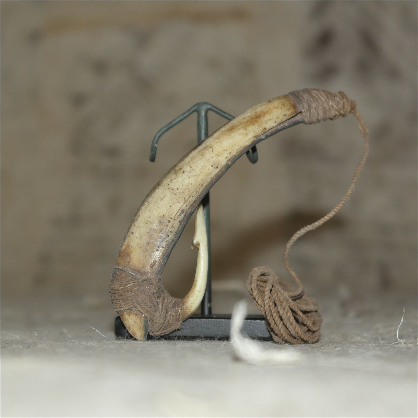 19th century Maori fishhook matau, Maori antique, Maori artifact, 19th century maori carving, 19th century Maori antique, 19th century Maori artifact, polynesian tribal art antiques and weapons gallery, oceanic tribal art antiques and weapons gallery, ethnographic tribal art antiques and weapons gallery, 19ème siècle Maoris massue de guerre, looking to buy tribal antiques art and weapons, buying Maori antiques, buying Maori clubs, artifacts and weapons, buying Maori antiques, buying Maori clubs and artifacts