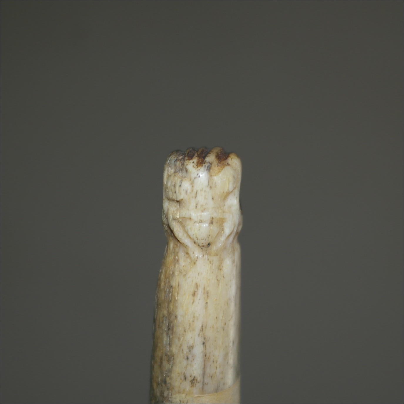 19th century Maori whalebone patu tuna, 19th century Maori hand club patu, Maori whalebone club, Maori weapon, antique Maori whalebone patu paraoa, Maori artifact, Maori war club, antique Maori club, Oceanic tribal art antiques and weapons gallery, Polynesian tribal art antiques and weapons gallery, ethnographic tribal art antiques and weapons gallery, Maori war club, 19ème siècle Maoris massue de guerre, looking to buy tribal antiques art and weapons, buying Maori antiques, buying Maori clubs and artifacts