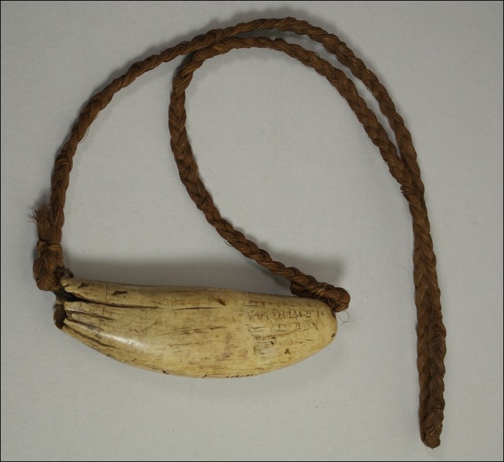 19th century Fijian tabua, antique fijian whale tooth ivory tabua, marine ivory, tabua, whale tooth, Fijian artifact, Polynesian tribal art antiques and weapons gallery, Oceanic tribal art antiques and weapons gallery, ethnographic tribal art antiques and weapons gallery, 19ème siècle Fidji massue de guerre, looking to buy Fijian tribal antiques art and weapons, buying Fijian antiques, buying Fijian clubs artifacts and weapons, buying Fijian antiques